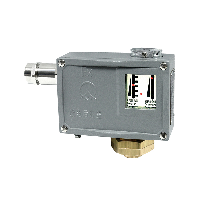 TL0002防爆壓力開(kāi)關(guān)/壓力控制器