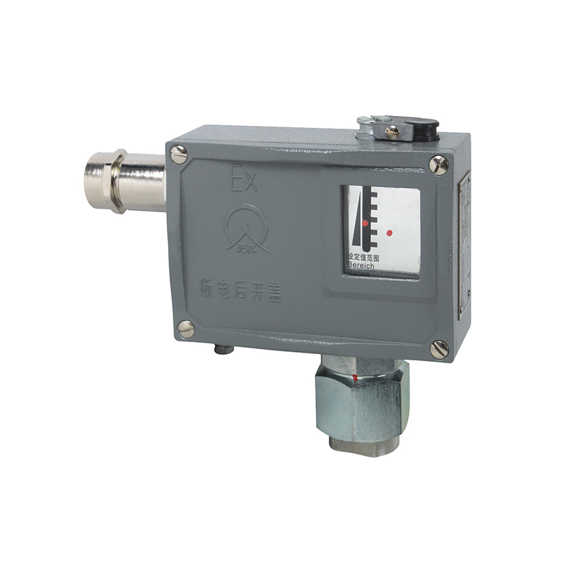 TL0102防爆壓力開(kāi)關(guān)/壓力控制器