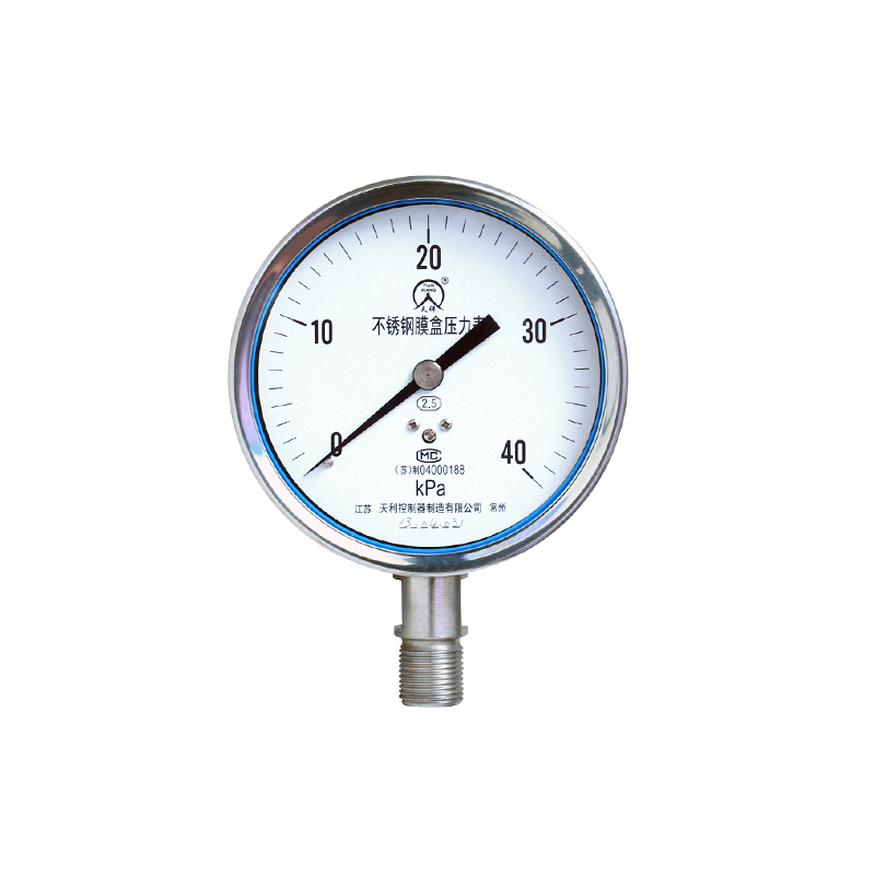 YE-100B不銹鋼膜盒壓力表