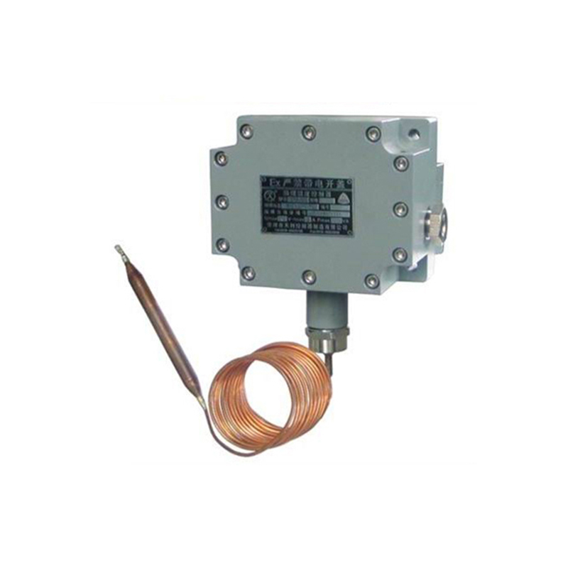 TXK-103隔爆溫度控制器